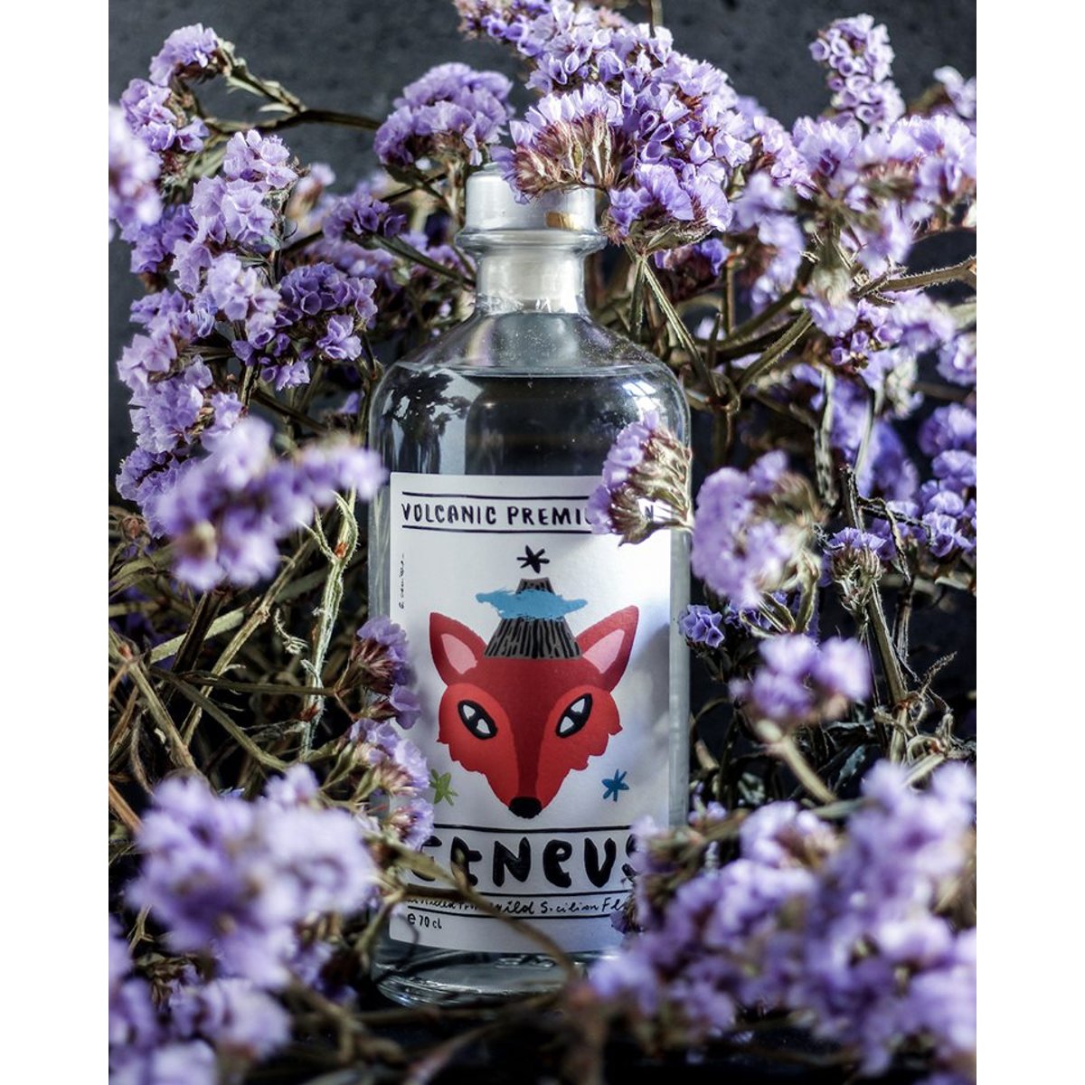 Aetnae Etneum Vulcanic Premium Gin 42% vol. 0,70 ltr.
