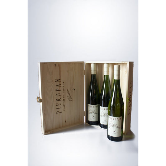 Pieropan Calvarino 5 Soave Classico, coffret de 3 bouteilles de 0,75 l.