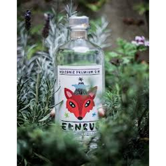 Aetnae Etneum Vulcanic Gin Premium 42% vol. 0,70 l.