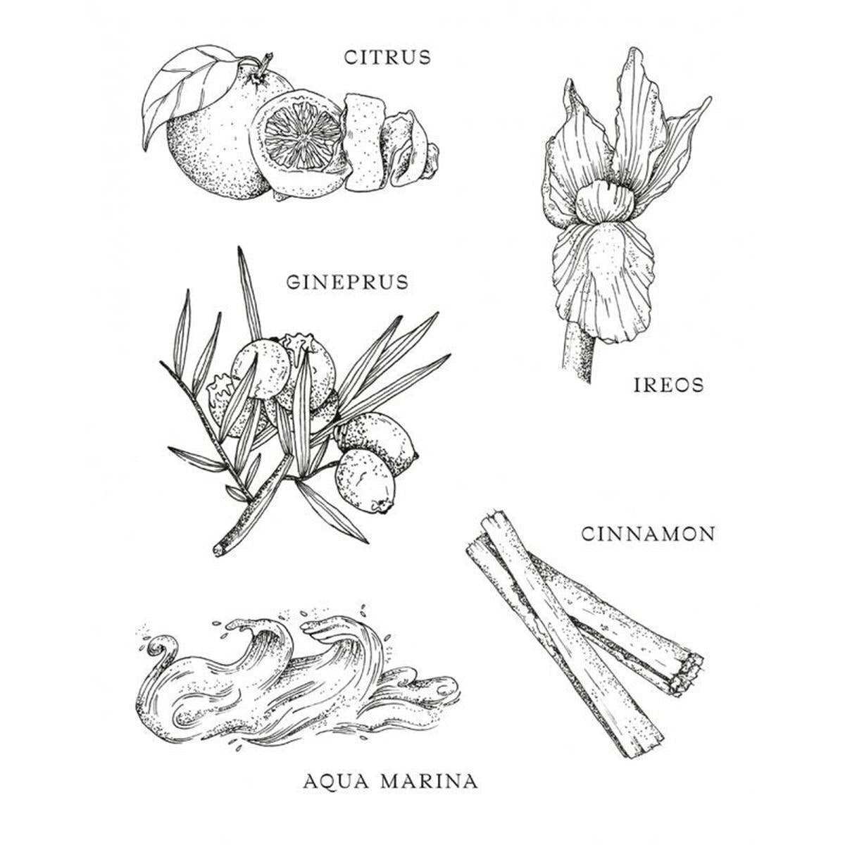 Muma Gin 41,8% 0,50 ltr.