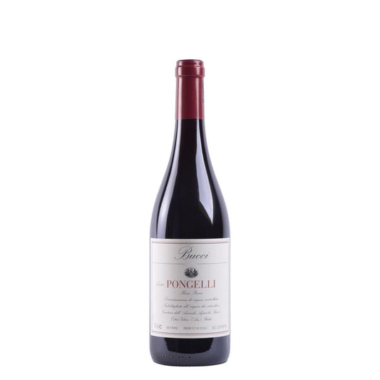 Villa Bucci Rosso Piceno Tenuta Pongelli DOC 0,75 ltr.