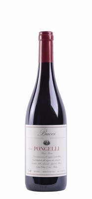Villa Bucci Rosso Piceno Tenuta Pongelli DOC 0,75 ltr.