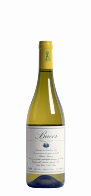Villa Bucci Verdicchio dei Castelli Jesi Superiore 0,375 ltr