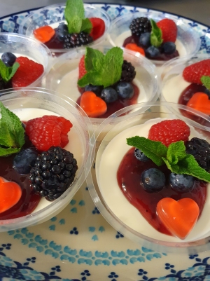 Panna Cotta met frambozencoulis