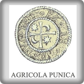 Agri Punica